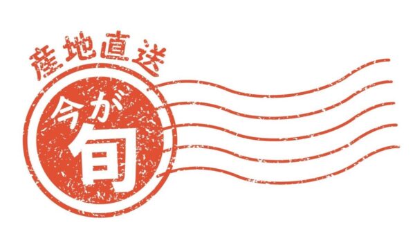 経験の旬[企画説明記事]